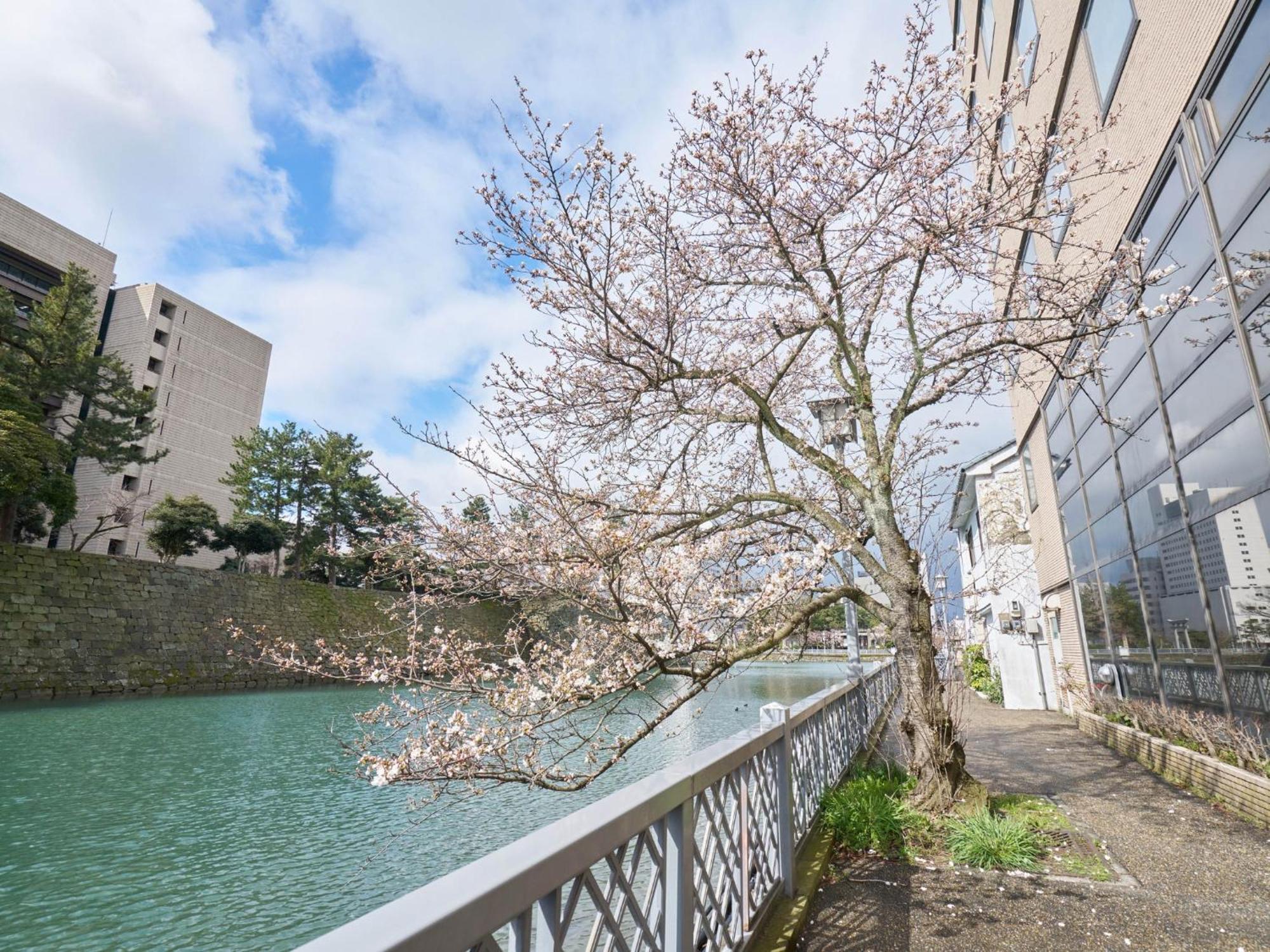 Hotel Fukui Castle - Vacation Stay 58696V מראה חיצוני תמונה
