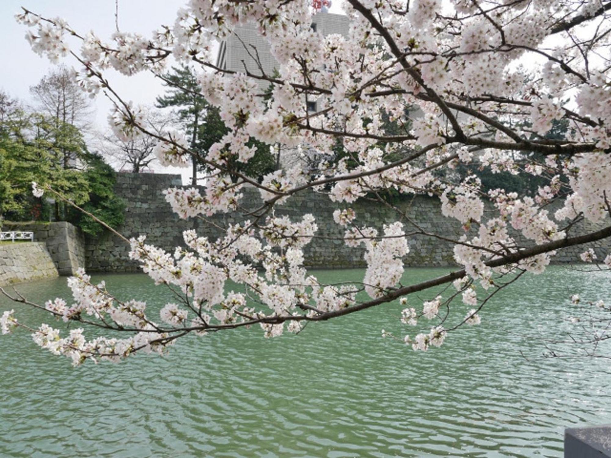Hotel Fukui Castle - Vacation Stay 58696V מראה חיצוני תמונה