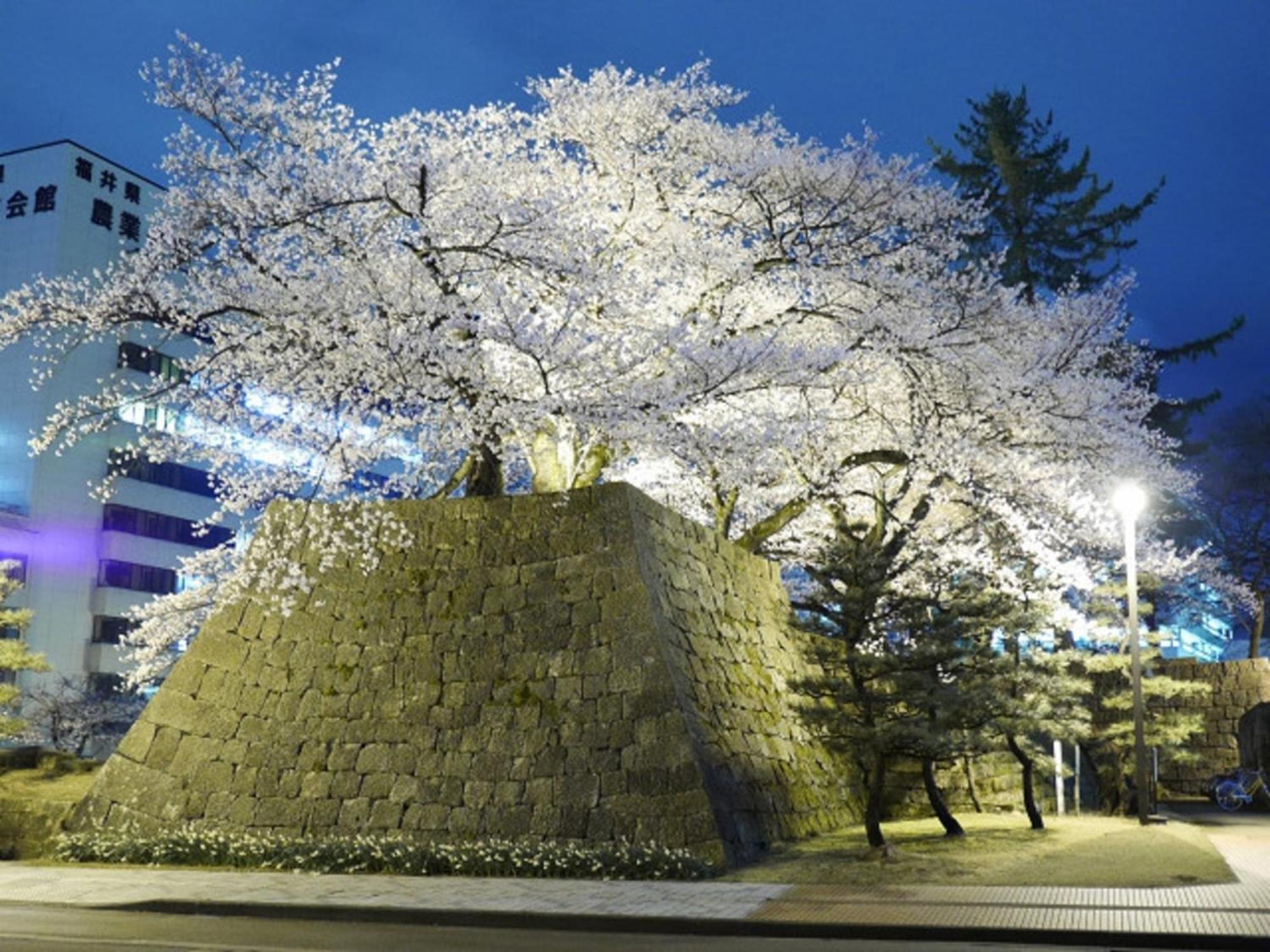 Hotel Fukui Castle - Vacation Stay 58696V מראה חיצוני תמונה