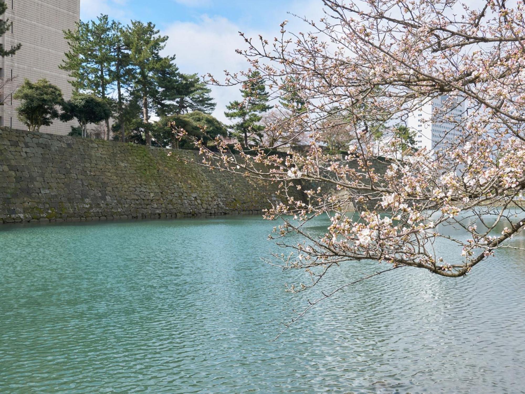 Hotel Fukui Castle - Vacation Stay 58696V מראה חיצוני תמונה